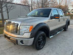 2010 Ford F-150 XLT 4x4 4dr SuperCrew Styleside 5.5 ft. SB