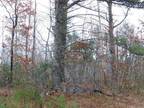 Plot For Sale In Suring, Wisconsin