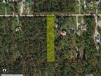 Naples, Collier County, FL Homesites for sale Property ID: 417327785