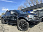 2014 FORD F-150 SVT Raptor