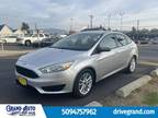 2015 Ford Focus SE Sedan 4D