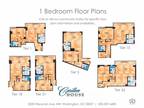 Carillon House - 1 BDRM