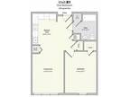 Lofts at 335 - 1 Bedroom B1