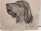 Robert Wagner Dog Caninehound "Bruno" Graphite Ink on Paper Signed Dated '24