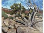 western landscape original oil painting Utah Juniper Tree Signed Liam Matthew
