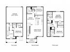 Campus Oaks Apartments - 4 Bedroom Townhome Plan 6