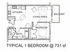 South Pointe Apartments - 1 Bedroom 1 Bathroom