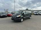 2018 Ford Transit T-250 130 Low Rf 9000 GVWR Swing-Out RH Dr
