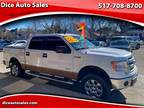 2014 Ford F-150 Platinum SuperCrew 6.5-ft. Bed 4WD