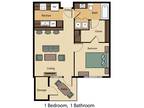 Maryland Village 1 - 1 Bed 1 Bath