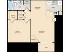 Cambrian Apartments - The Ouray