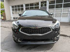 2014 Kia Cadenza Limited 4dr Sedan