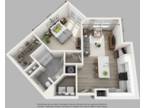 Avia Luxury Apartments - The Carillon