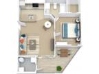 Preakness Apartments - Saratoga