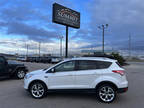 2015 Ford Escape Titanium AWD 4dr SUV