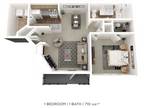 Champion Lake Apartment Homes - One Bedroom- 710 sqft