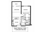 Clear Brook II Apartments - One Bedroom One Bathroom