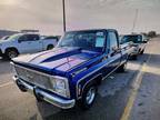 1980 Chevrolet C/K 10 Series REG CAB