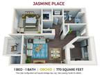 Jasmine Place - Orchid
