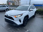 2021 Toyota RAV4 Hybrid LE AWD Local No Accident Save $15000!!!