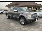 2010 Ford F-150 Lariat SuperCrew 6.5-ft. Bed 4WD