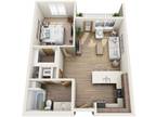 Spyglass Hill Apartments - 1 Bedroom, 1 Bath Apartment