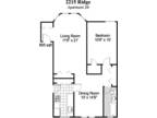 2213 - 2223 Ridge Apartments - 1 Bedroom, 1 Bath