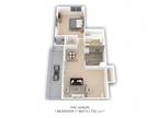 Willow Lake Apartment Homes - One Bedroom - 732 sqft