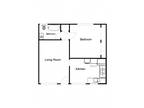 Benson Apartments - 1-bedroom, 1-Bathroom (4)