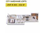 City Hardware Lofts - City Hardware Lofts 205