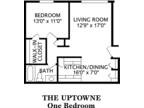 Towne Square Apartments - 1 BR 1 BATH LARGE