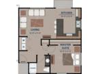 Avilla Tanque Verde - One Bedroom