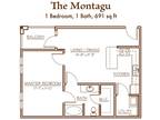 The Manor Homes of Eagle Glen - Montagu