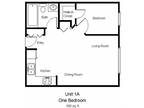 Dove Tree Apartments - One Bedroom Apartment