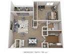 Forestbrook Apartments and Townhomes - One Bedroom