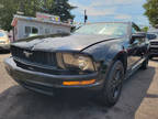 2006 Ford Mustang 2dr Cpe Standard