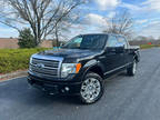 2011 Ford F-150 Platinum 4x4 4dr SuperCrew Styleside 5.5 ft. SB