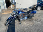 2009 Harley-Davidson Soft Tail Custom
