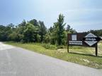 Burgaw, Pender County, NC Undeveloped Land, Lakefront Property