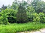 Plot For Sale In Mundy Township, Michigan