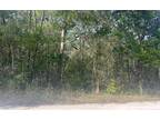 Lake City, 5ac Wooded Lot between Branford and.