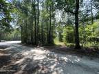 Burgaw, Pender County, NC Undeveloped Land, Lakefront Property
