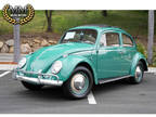 1960 Vw Beetle