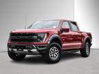 2023 Ford F-150 Raptor - 360 Camera, Navi, Panoramic Sunroof