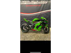 2023 Kawasaki Ninja ZX-10R KRT Edition