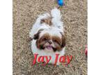 PRETRAINED " Jay "