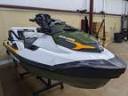 2019 Sea-Doo Fish Pro IBR & Sound System