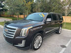 2015 Cadillac Escalade ESV Platinum 4x4 4dr SUV