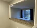 Condo For Rent In Naperville, Illinois