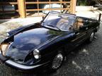 1989 Alfa Romeo Spider Graduate Convertible